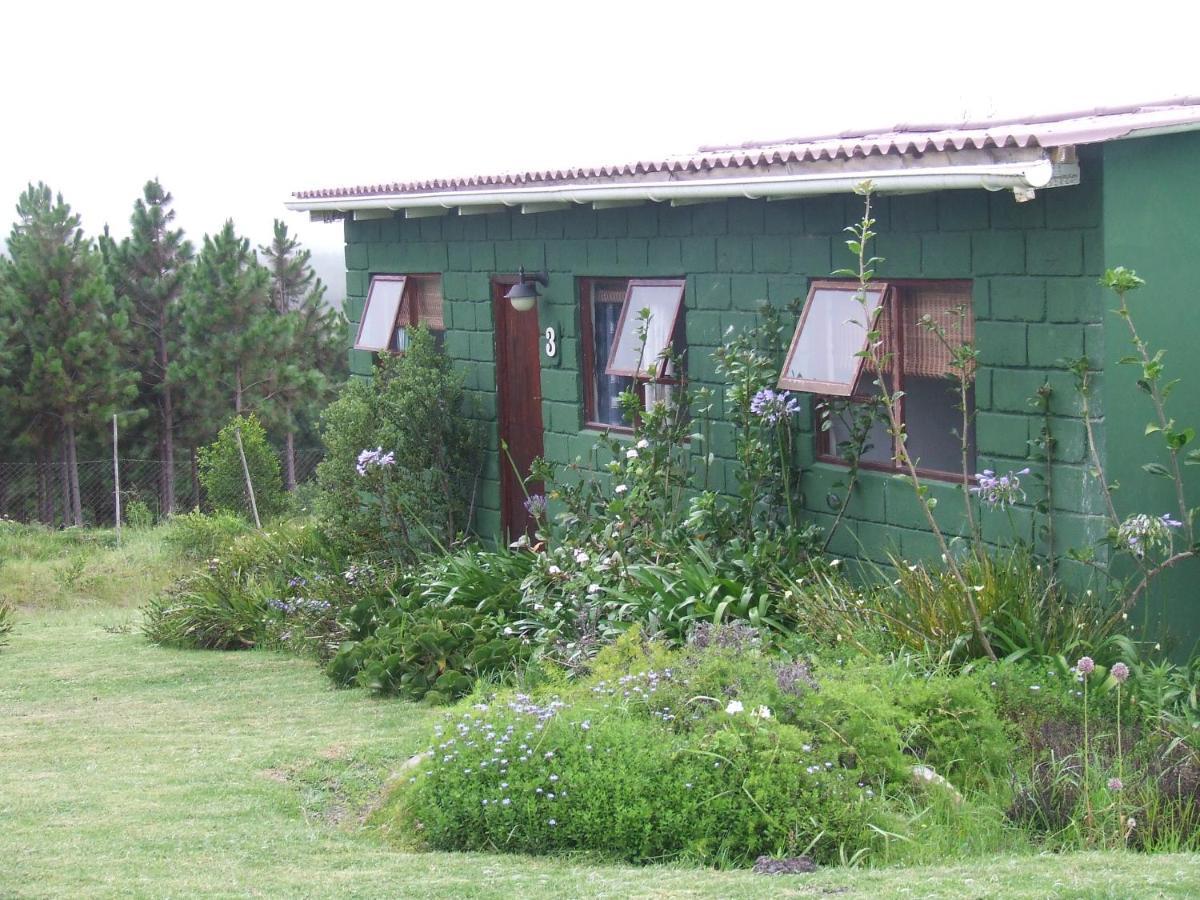 Tsitsikamma On Sea Hotel Stormsrivier Exterior photo